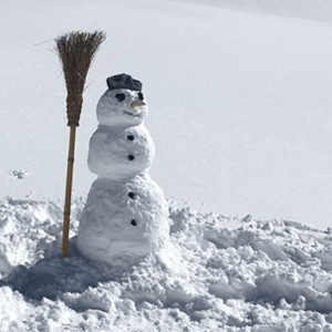 Schneemann auf Wiese